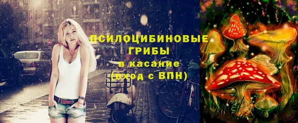 a pvp Козловка