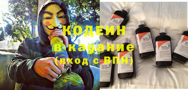 соль ск Кодинск
