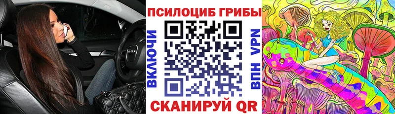 Купить где  Луховицы  Псилоцибиновые грибы Magic Shrooms 